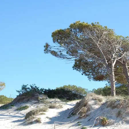 Buganvillea 3* 알게로